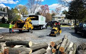 Best Arborist Consultation Services  in Premont, TX